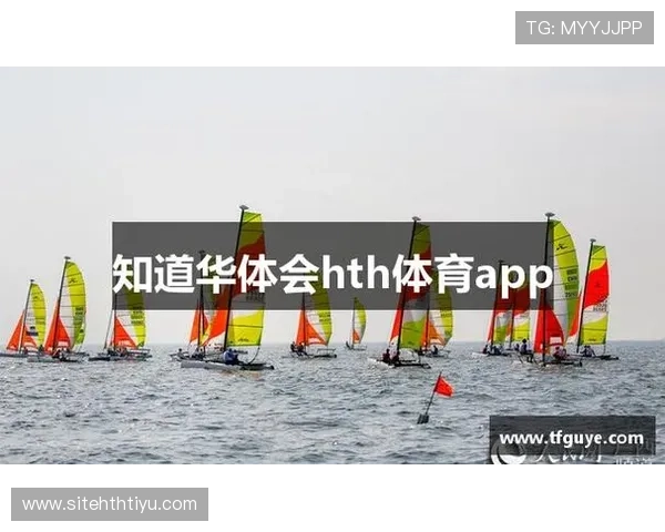 华体会登录入口手机版：解决华体会手机版登录问题的详细操作指南